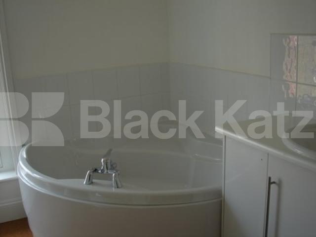 			NEW INSTRUCTION, 2 Bedroom, 1 bath, 1 reception Flat			 Harpenden Road, Tulse Hill 